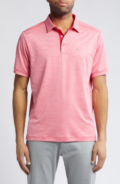 Tommy Bahama San Raphael IslandZone Performance Polo at Nordstrom,