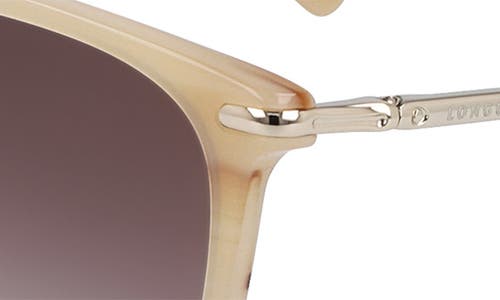 Longchamp 54mm Gradient Cat Eye Sunglasses In Marble Beige/brown Rose Gra