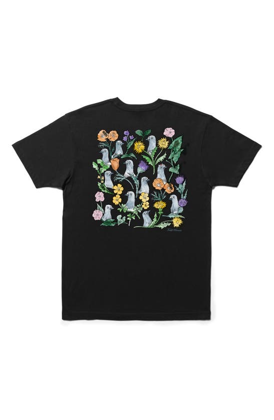 Shop Stance Pigeon Street Cotton Graphic T-shirt In Black