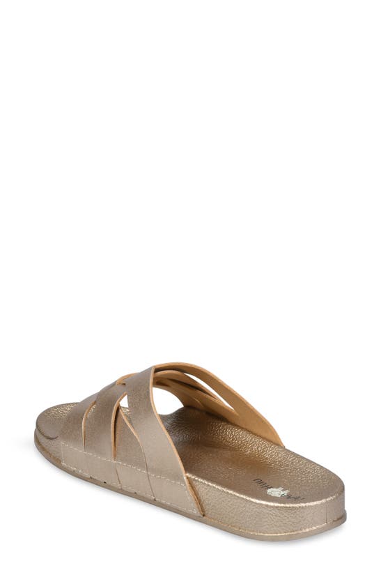 Gaahuu Crisscross Strap Slide Sandal In Gold