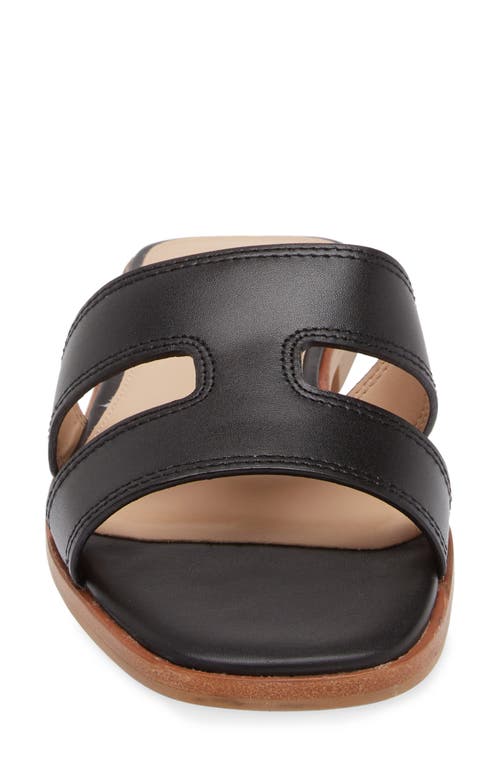 Steve Madden Hazel Slide Sandal