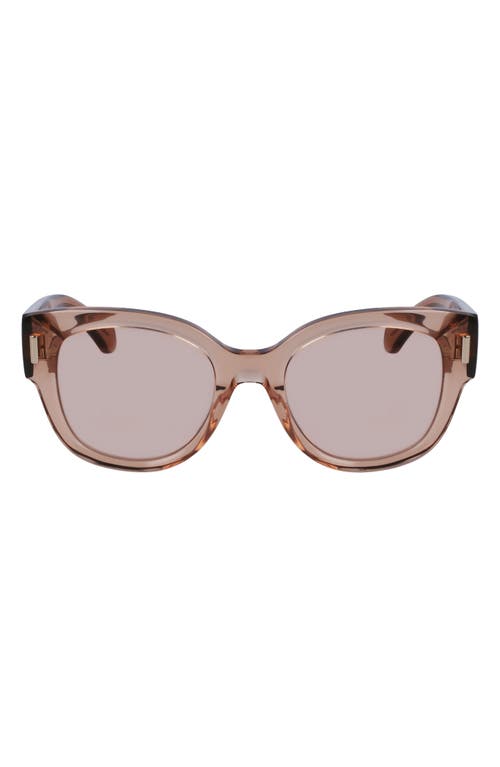 Shop Ferragamo Rivets Tea Cup 51mm Butterfly Sunglasses In Transparent Beige