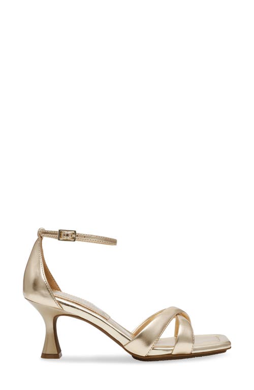 Shop Anne Klein Joss Ankle Strap Kitten Heel Sandal In Light Gold