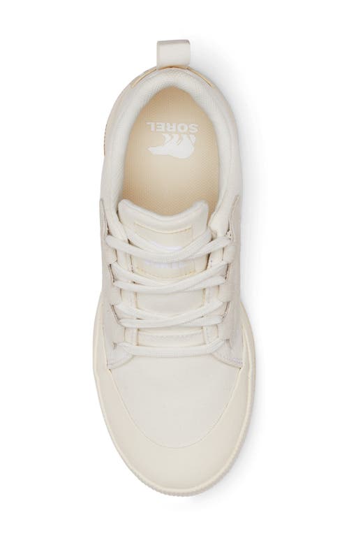 Sorel Out N About Waterproof Low Top Sneaker In Sea Salt/chalk
