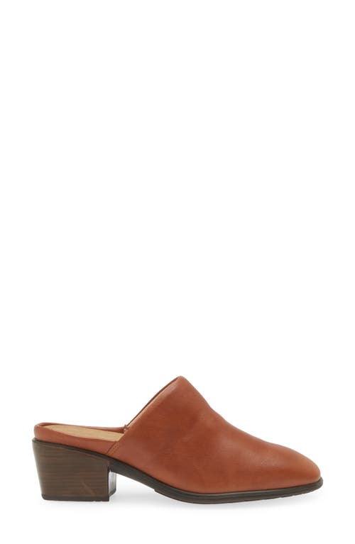 Shop Naot Dedicate Mule In Brown Peanut Leather