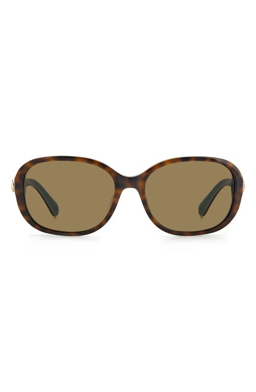 Kate Spade New York izabella 55mm gradient oval sunglasses in Havana Turqu /Bronze at Nordstrom