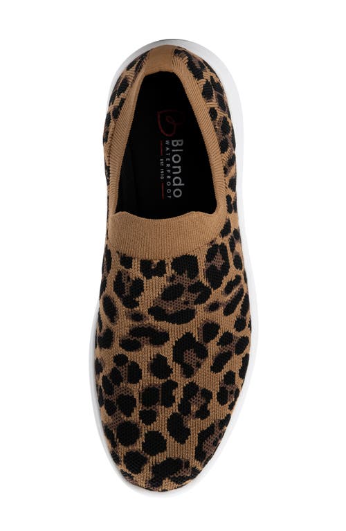 Blondo Karen Waterproof Slip-on Sneaker In Leopard Knit