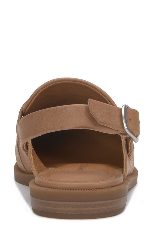 Shop Lucky Brand Louissa Slingback Loafer In Latte