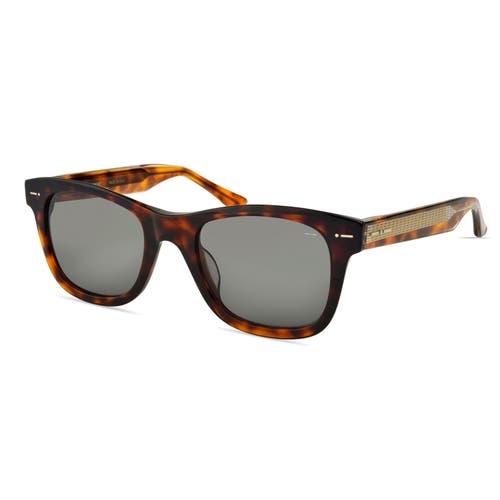Italia Independent Azzurro Sunglasses In Havana