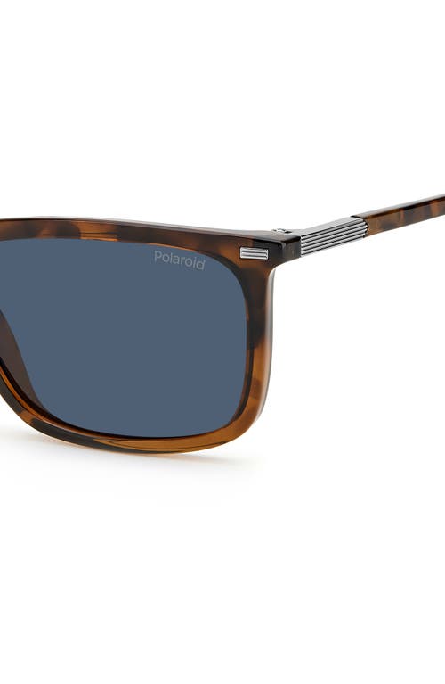 Shop Polaroid 55mm Polarized Rectangular Sunglasses In Havana Brown/blue Polar