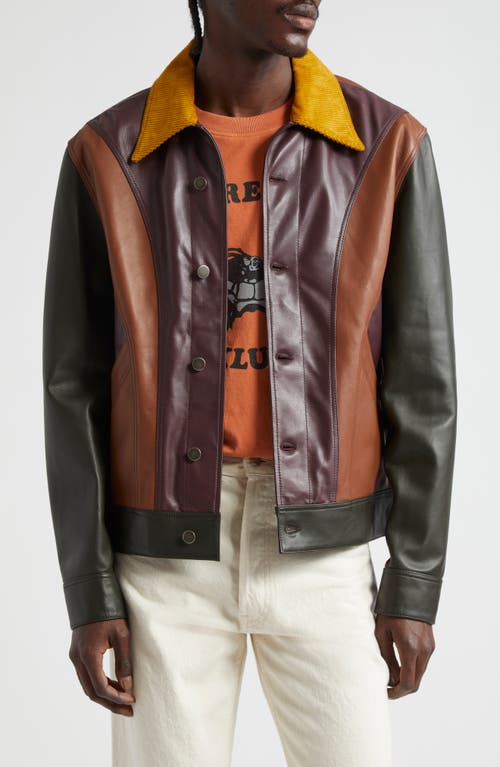 Nicholas Daley Rebel Paneled Leather Jacket In Tan/brown/mustard