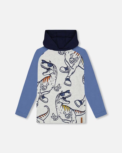 Shop Deux Par Deux Boy's Raglan Hooded T-shirt Gray Mix And Blue In Light Grey Mix