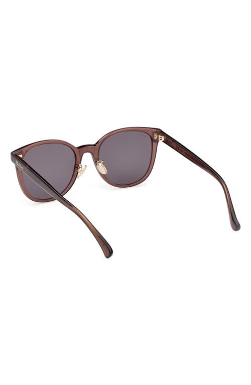 Shop Max Mara 55mm Round Sunglasses In Shiny Dark Brown/smoke