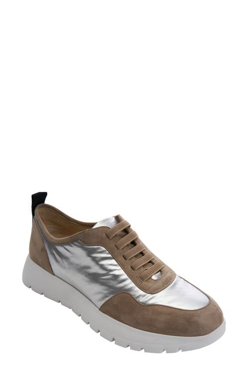 Qadi Sneaker in Silver/Brown