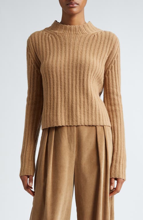 Shop Max Mara Aloa Wool & Cashmere Funnel Neck Sweater In Camel