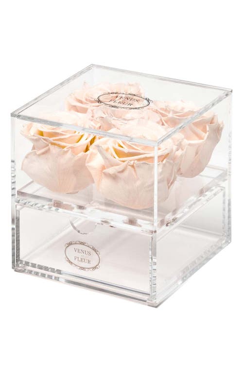 Venus ET Fleur Le Clair Cinq Eternity Roses in Blush at Nordstrom