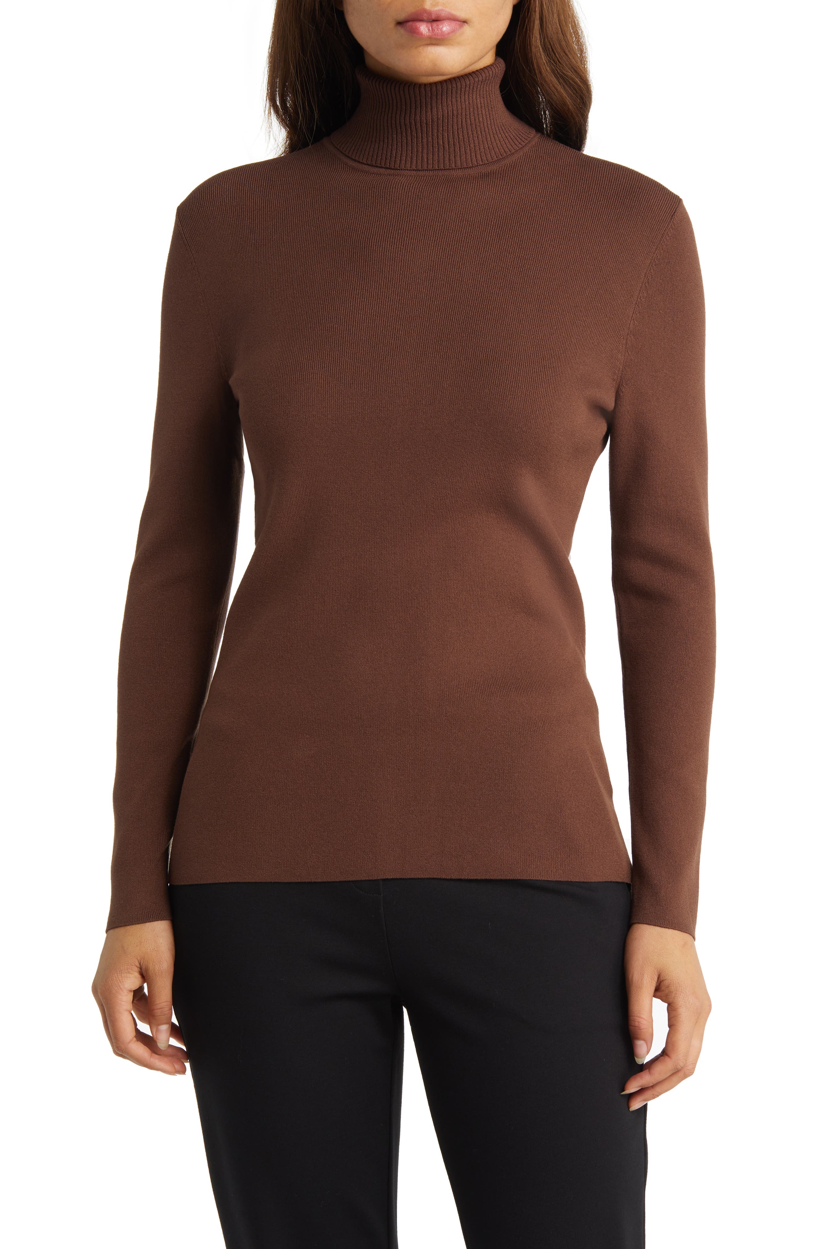Long Sleeve Turtleneck Sweater | Nordstrom