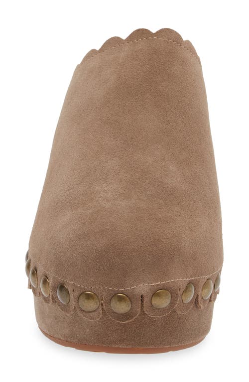 Shop Chocolat Blu Gemini Platform Clog In Taupe Suede