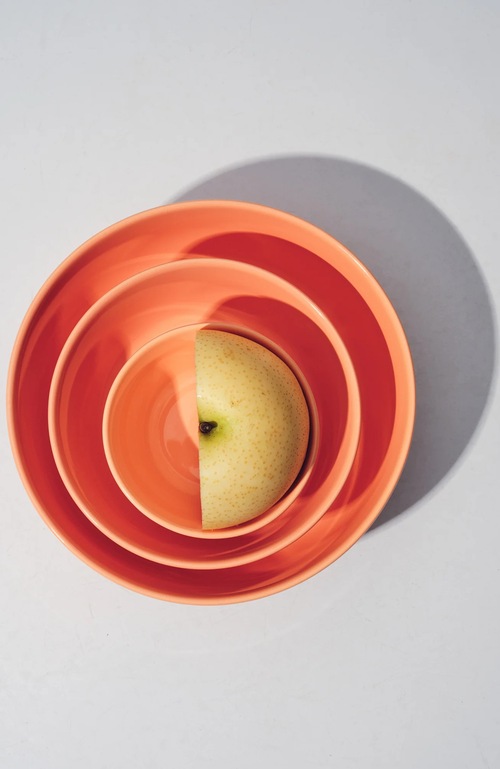 Fors Studio Medium Bowl In Coral