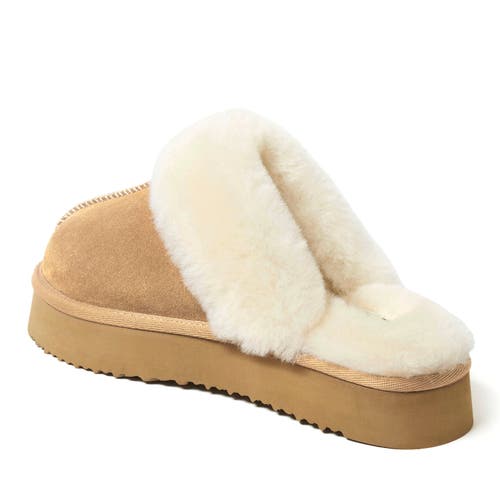 Dearfoams Fireside Melton Genuine Shearling Platform Scuff Slipper In Sand