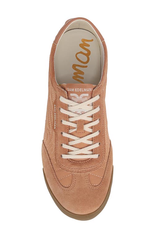 Shop Sam Edelman Isabel Sneaker In Tuscan Clay