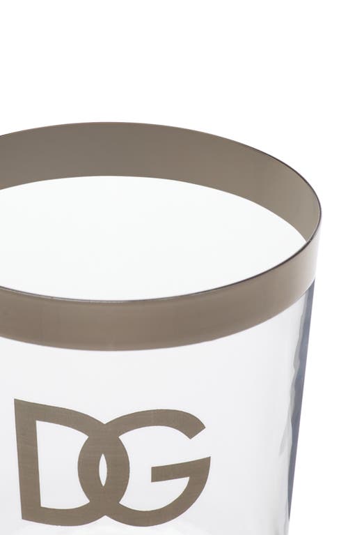 Dolce & Gabbana Dolce&gabbana Dg Logo Set Of 2 Water Glasses In Trasp/silver