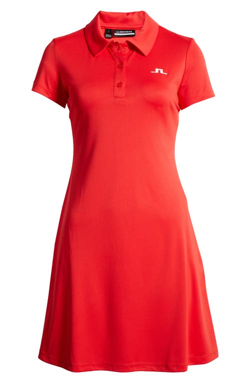 Shop J. Lindeberg Tinsley Polo Dress In Bittersweet