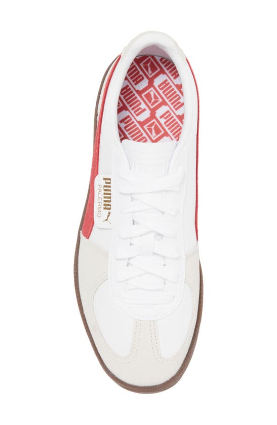 Shop Puma Palermo Leather Sneaker In  White-vapor Gray-club Red