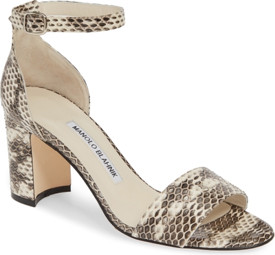 Women's Manolo Blahnik Laurato Genuine Snakeskin Sandal