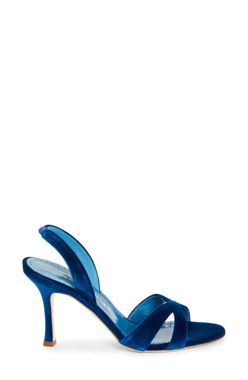 Shop Manolo Blahnik Callasli Sandal In Cobalt Blue Velvet