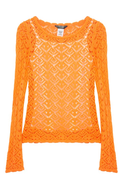 Truce Kids' Pointelle Sweater & Camisole Set in Orange at Nordstrom, Size Xl