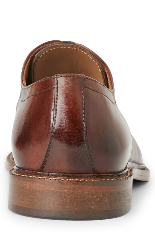 Shop Bruno Magli Aydin Cap Toe Derby In Cognac