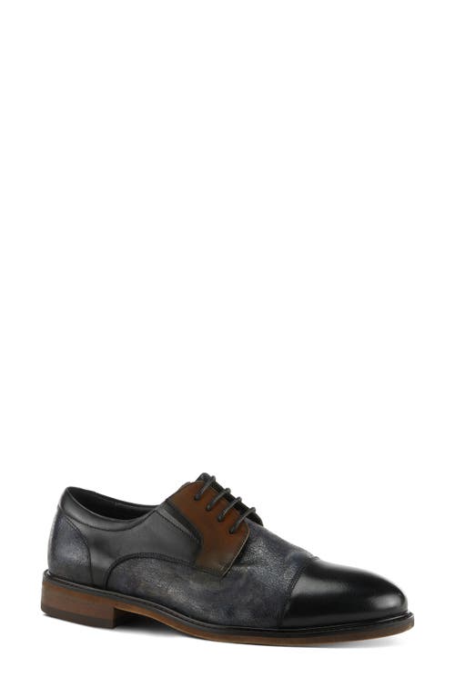 Shop L'artiste By Spring Step Leron Derby In Black Multi