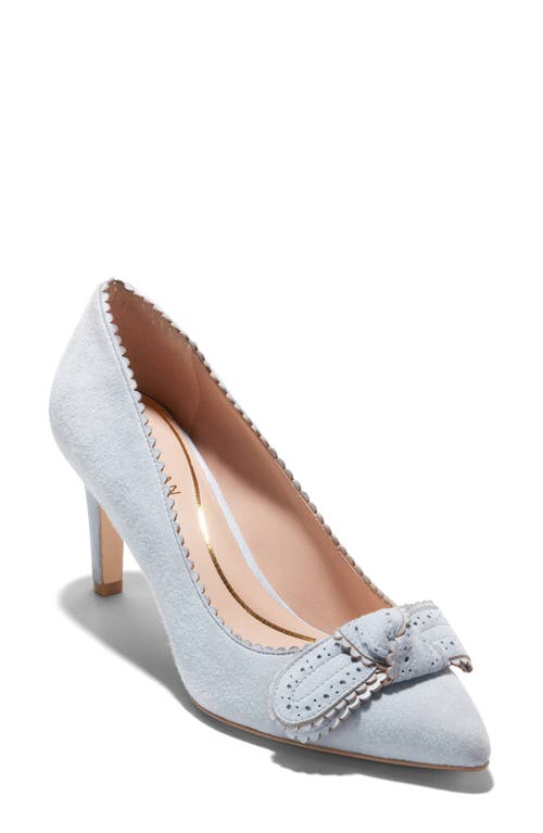 Cole Haan Bellport Bow Pointed Toe Pump Heather Blue Suede at Nordstrom,