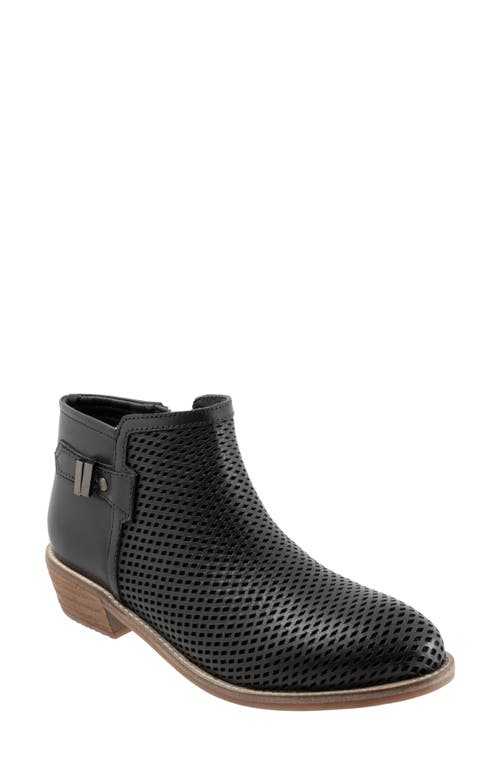 SoftWalk Rimini Perforated Bootie Black at Nordstrom,
