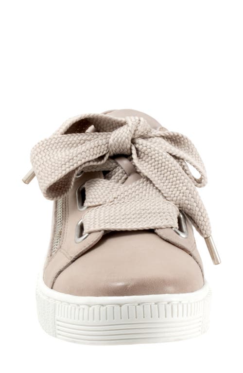 Shop Eos Footwear Jovi Sneaker In Stone