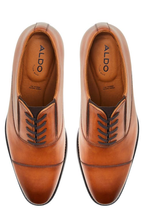 Aldo Paxley Cap Toe Oxford In Cognac