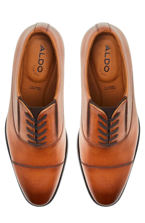 Shop Aldo Paxley Cap Toe Oxford In Cognac