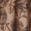 selected Fossil color