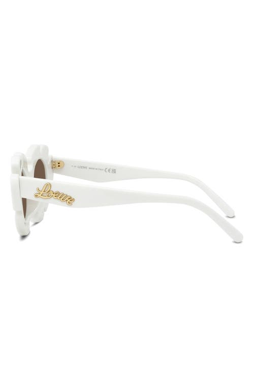 Shop Loewe X Paula's Ibiza Flower 47mm Small Cat Eye Sunglasses In White/brown