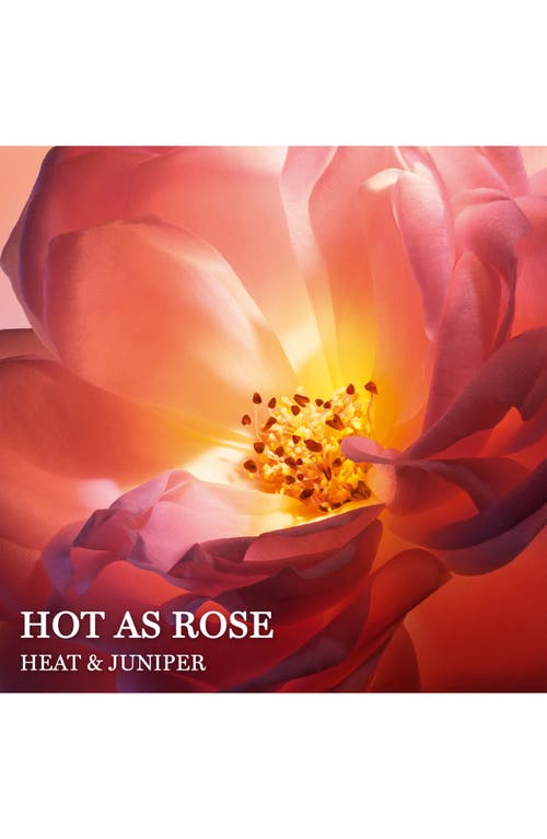 Shop Lancôme Hot As Rose Eau De Parfum In No Color