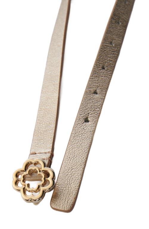 Maje Slim Belt With Clover Buckle In Light Gold