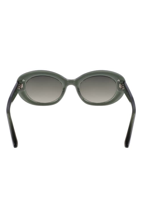 Longchamp Le Pliage 50mm Oval Sunglasses In Transparent Green