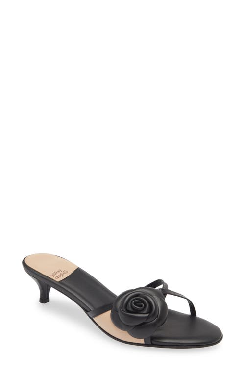 Gloriosa Kitten Heel Slide Sandal in Black Natural