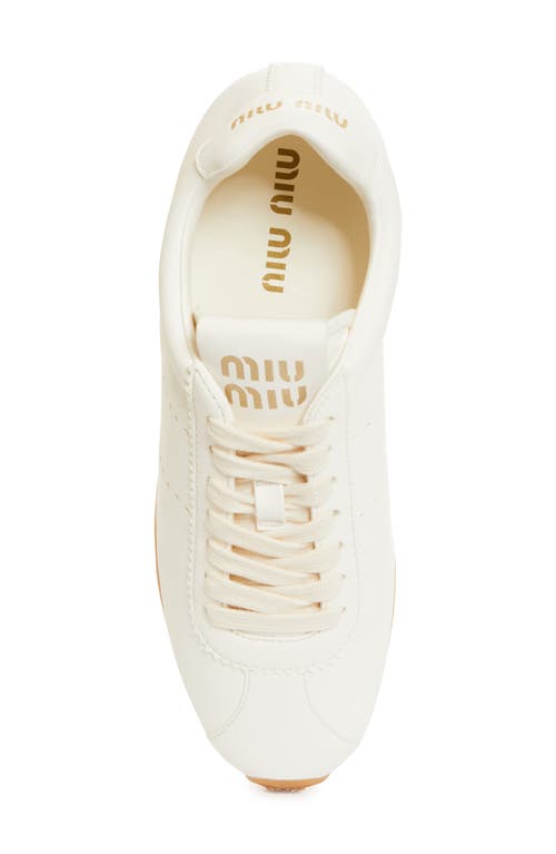 Miu Miu Leather Low Top Sneaker In Avorio