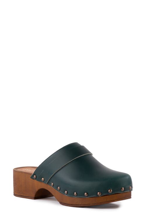 Loud & Clear Clog in Green