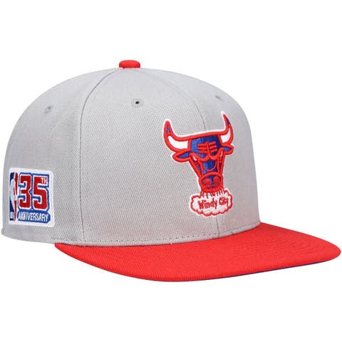 Chicago Bulls Logo The Golfer New Era Hat Snapback Cap Michael