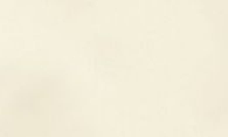 OOKIE & LALA OOKIE & LALA SATIN BOMBER JACKET