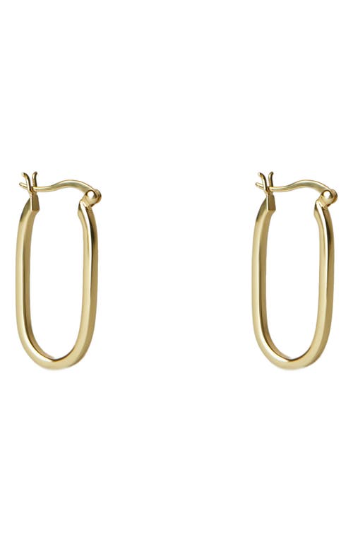 Argento Vivo Sterling Silver Oval Hoop Earrings in Gold at Nordstrom