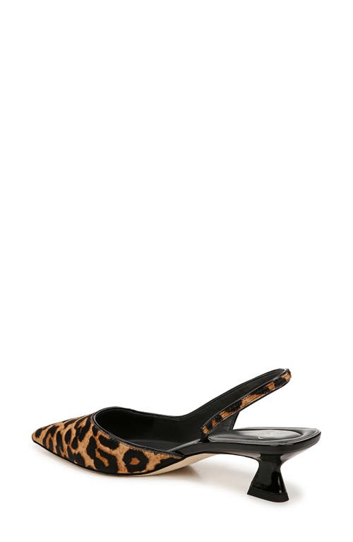 SARTO BY FRANCO SARTO SARTO BY FRANCO SARTO DEVIN SLINGBACK HALF D'ORSAY POINTED TOE KITTEN HEEL PUMP 